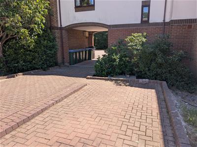 Picture 8